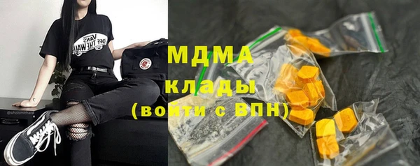индика Абаза
