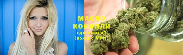 индика Абаза