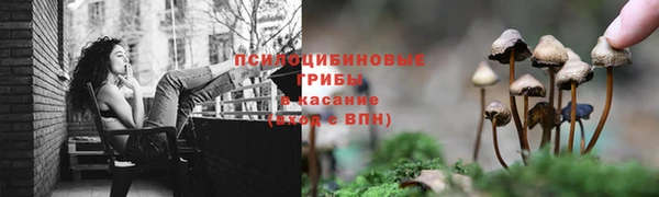 стафф Абинск