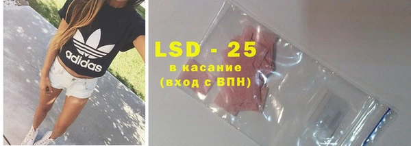индика Абаза