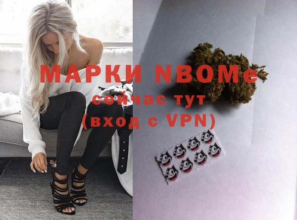 хмурый Алексин