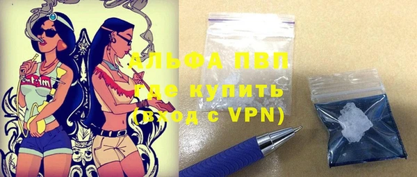 индика Абаза