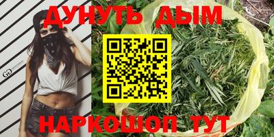 прущие грибы Гусев