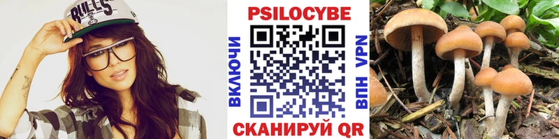 Галлюциногенные грибы GOLDEN TEACHER  Кимовск 